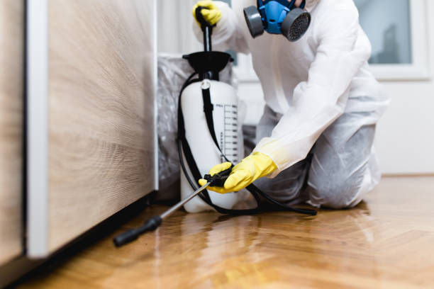 Best Mosquito Control Services  in Holdenville, OK