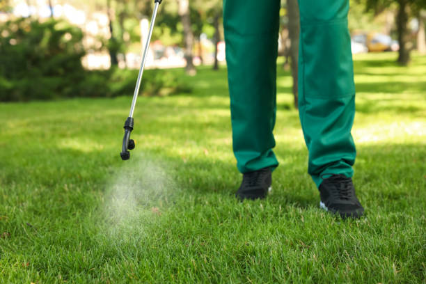 Best Rat Extermination Near Me  in Holdenville, OK