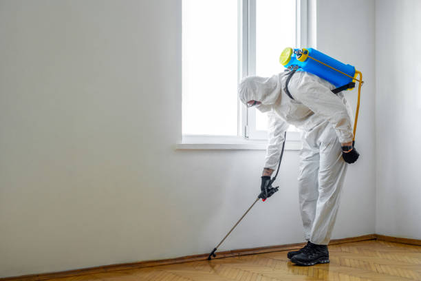 Best Affordable Pest Control Services  in Holdenville, OK