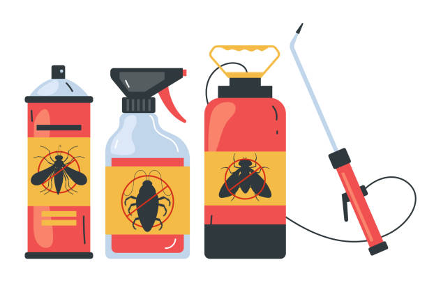 Best Wasp Removal Services  in Holdenville, OK