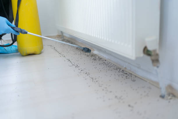 Pest Prevention Services in Holdenville, OK